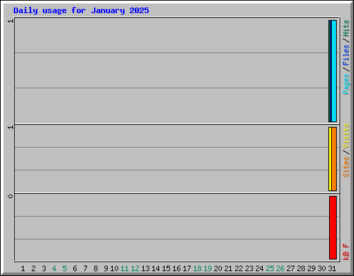 Daily usage for January 2025