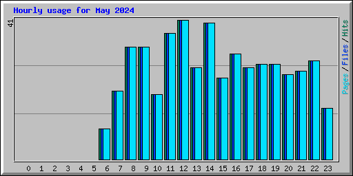 Hourly usage for May 2024