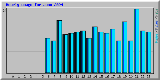 Hourly usage for June 2024