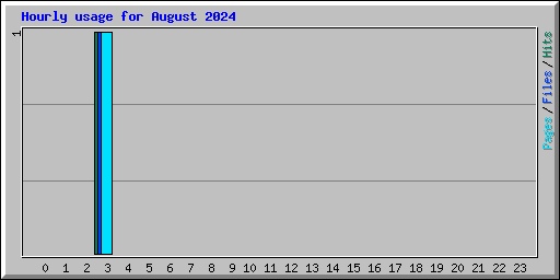 Hourly usage for August 2024