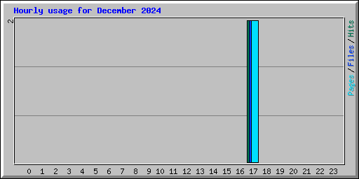 Hourly usage for December 2024